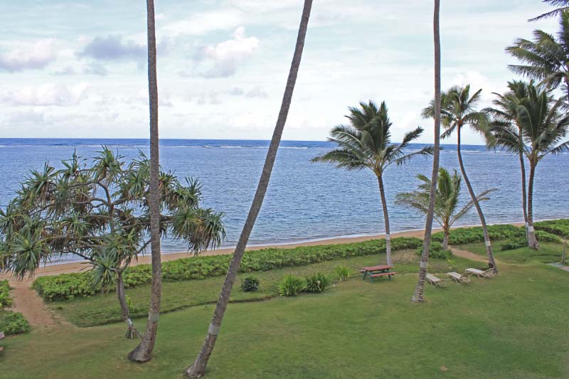 Grass leading to beach
