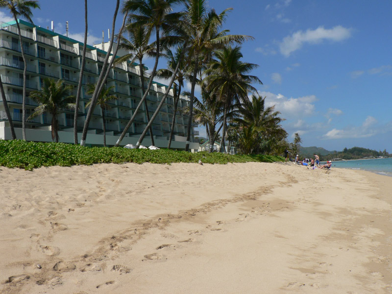 Beach looking back to building